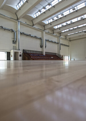 012%20palestra%20arcoveggio.jpeg 012%20palestra%20arcoveggio.jpeg