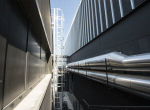 007%20palestra%20arcoveggio.jpeg 007%20palestra%20arcoveggio.jpeg