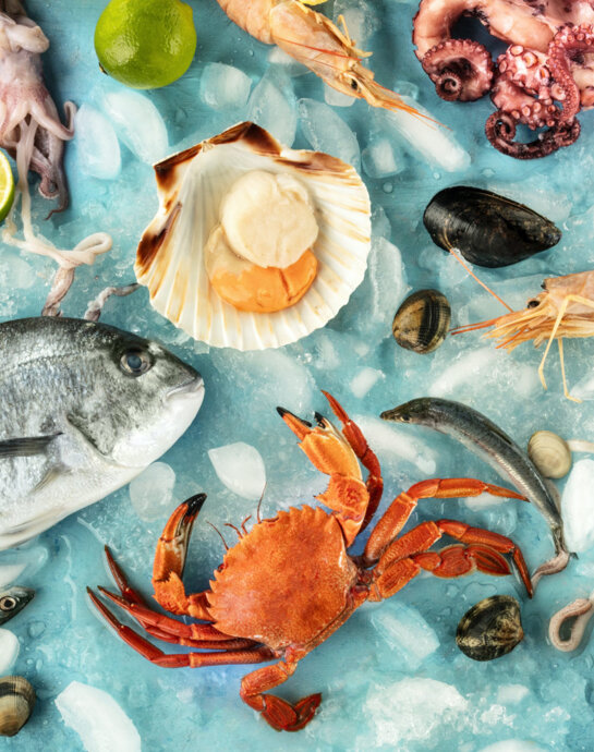 pesce-crostacei-orata-capesante-gamberi-scampi-granchio-seppia-calamari-cozze-vongole-adobestock_326286972-scaled