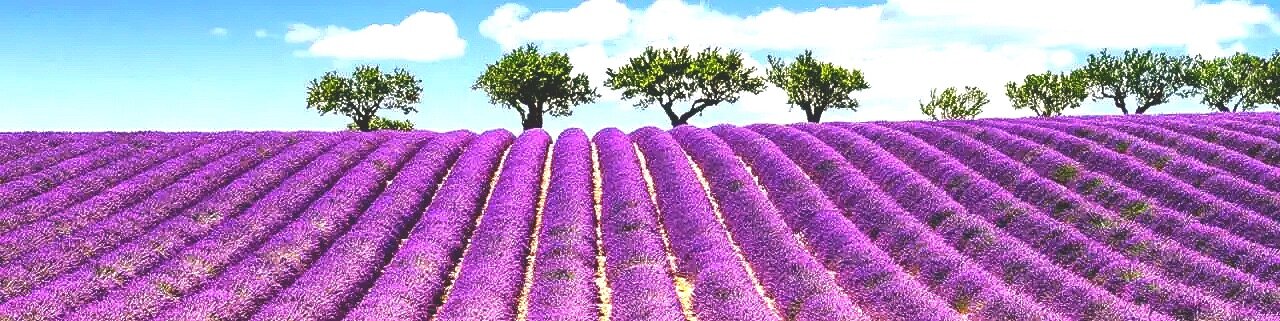 acb3f1fe-bbcc-4af7-937d-e442227f1479