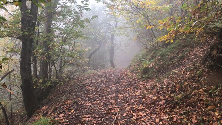 9bff4995-5dcf-4390-93ea-2f876cfadd94