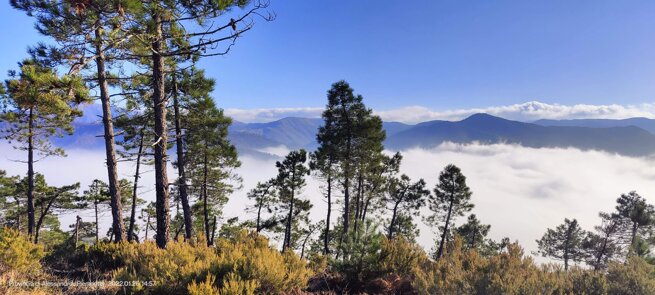 add05949-77d1-473b-9cd7-65a0e5ab61e0.jpeg add05949-77d1-473b-9cd7-65a0e5ab61e0.jpeg