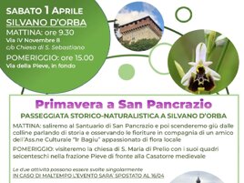 20ec35e2-1a65-4ae0-8ca9-8a562b258587