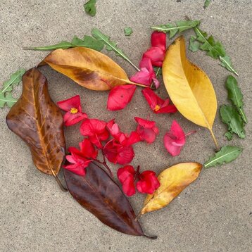 5159891c-cbe7-4055-ba55-02d460658a9b