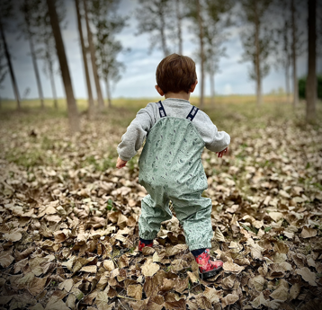 89ddf285-bd48-4ef9-b785-183c1fd54c87