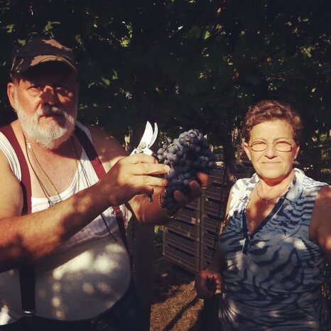 eddfb85c-d319-41dd-802c-779e61c22731.jpeg eddfb85c-d319-41dd-802c-779e61c22731.jpeg