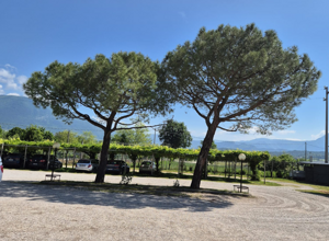 bigoli%20al%20sugo%20della%20casa bigoli%20al%20sugo%20della%20casa