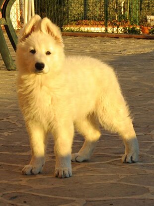 27a55410-c85b-4f39-8fa8-529b342ae30c