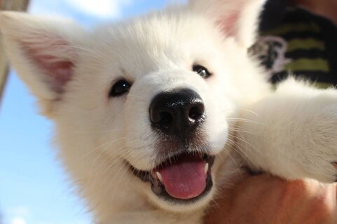 1892fa5f-4ae5-47af-a5e1-8191c97bd7e3 1892fa5f-4ae5-47af-a5e1-8191c97bd7e3