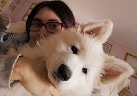 37aae9fd-52b6-4557-80a3-d626d4ef3ab2