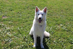 6cac5fb7-e300-4b31-b033-64fcc7dc7264