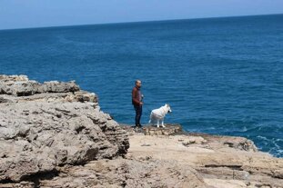 e25ed8da-27b5-4b3e-946e-8e95d5419369