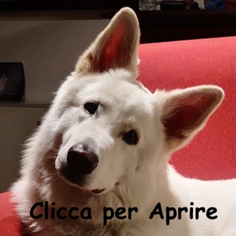 3655b76f-a02e-4031-a99c-9b53023a7c35