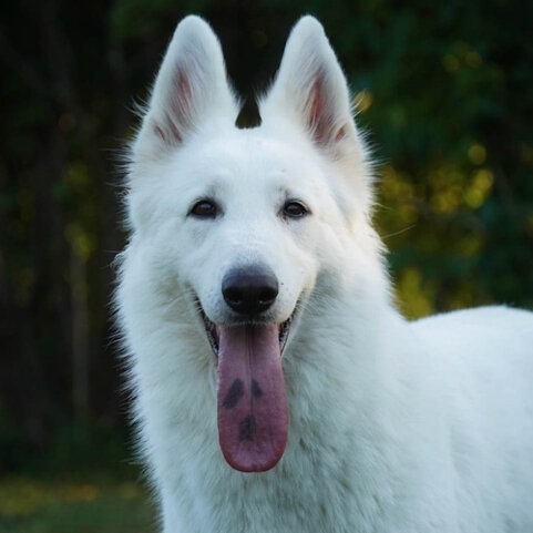 f5a79074-65db-449b-a4b3-b5350e7a63b9