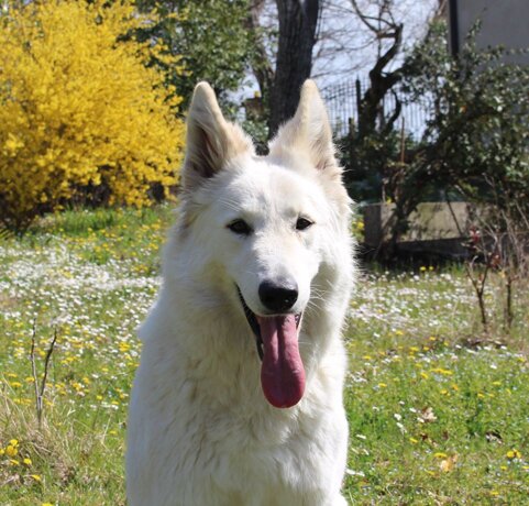 c2f6e8c2-fc6d-45b4-8b7c-2527a935f767