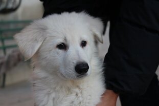 2c1e916d-d239-4980-8506-496cbd7434b0