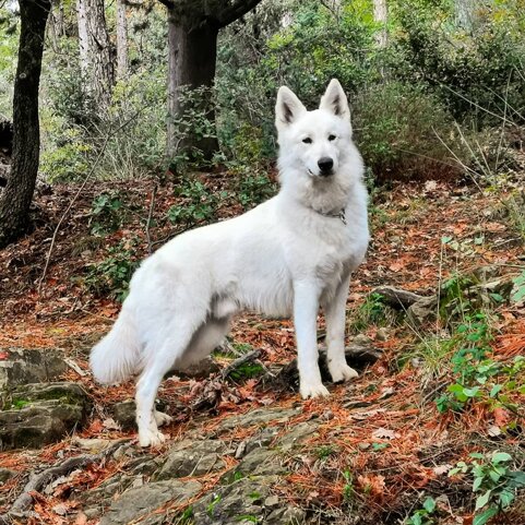 dc1c149b-fed5-4273-8acf-f792651d3b2e