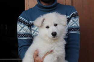 cbb449c3-83eb-4953-b5c0-f1cdb77ad62c