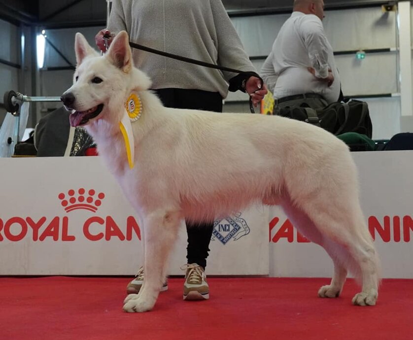 87618207-b0a1-455b-a7c8-2e8cfa017ea7