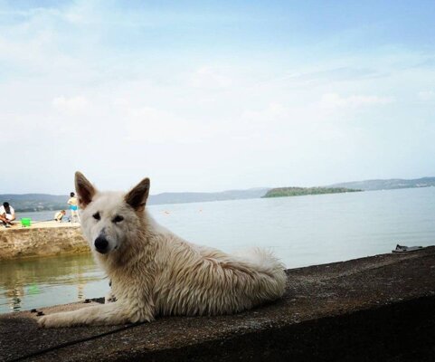 d69ff41e-0d9a-471c-8b7e-c67ad61be151