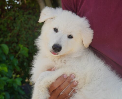 3322467f-c394-40f8-ba54-1e9202218e7b