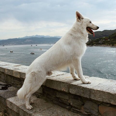 fe0a77da-0ccd-4e66-9335-5c03d77f103b