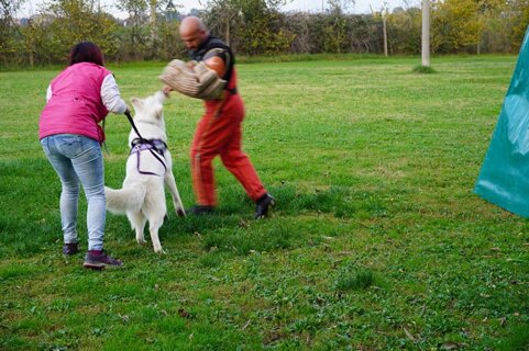 9db45c00-d0a9-483d-b548-a7f825ba15a6 9db45c00-d0a9-483d-b548-a7f825ba15a6