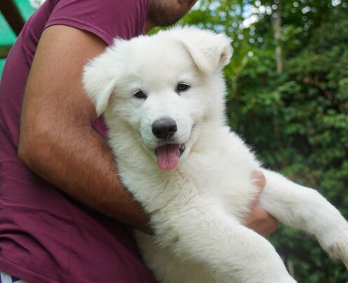 2018933c-2d5d-4baa-909a-9bd029c9d16a