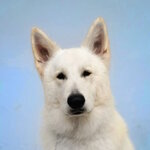 470a0a12-055f-40bc-b7c2-d7270a6e5568