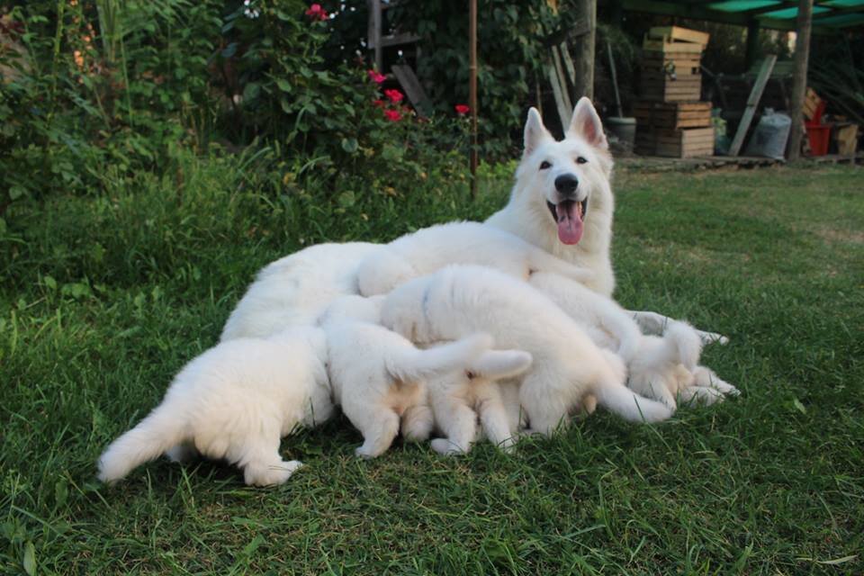 1554ef9b-2eed-4a19-b11a-0557f7f4da4b.jpg 1554ef9b-2eed-4a19-b11a-0557f7f4da4b.jpg