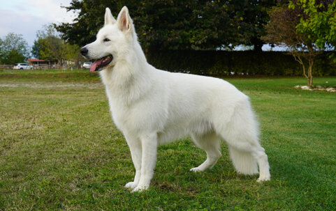 9497c573-d9d6-4900-9dfd-b3ddb985c040