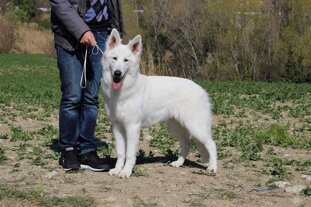 91cb20c0-1773-4b48-8e8f-a7617eb98117