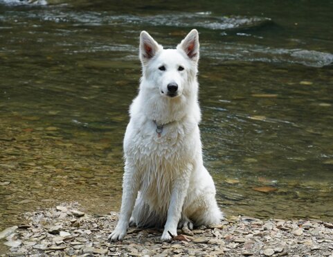 e5820cef-8fb3-4a70-ad72-c135970f2c83