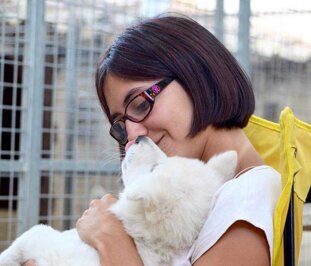 ae0bb824-0978-4072-b300-385b01dcdab2