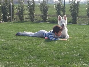 2bb2e9e0-90e1-4a70-a567-040a4cc24c30