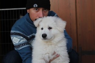 e95ba876-9b55-4f7c-87ce-43c219b7d77e