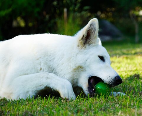 722862f2-dd41-4ef2-a620-988229db2458