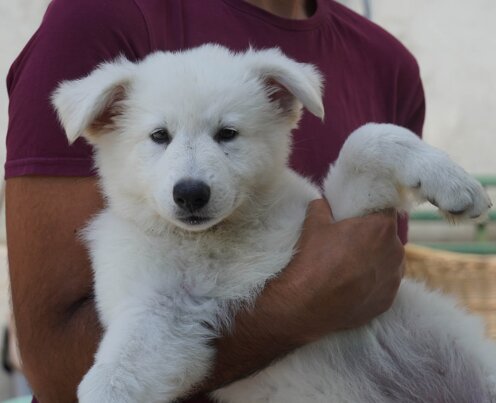 ec34c3bc-525c-4230-997b-8706c57c0f91