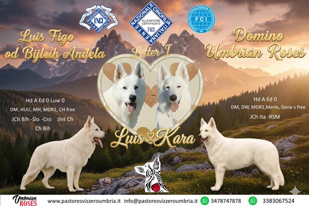 litter i seconda versione.jpeg