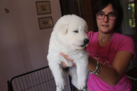 37fbb159-b2a4-4153-9211-aeec4ee6dcc5