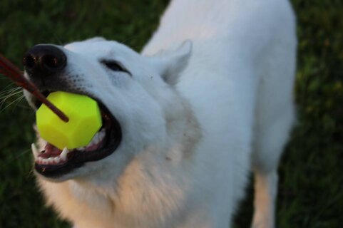 76cedc63-1792-4075-9ffa-132f8f8b44a7