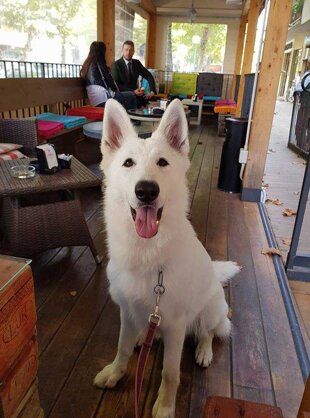 5d0e1f67-2282-4baa-a0b8-c7cbcc6676ef