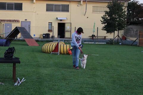 49655092-8bba-47d9-83aa-83b872bd2970