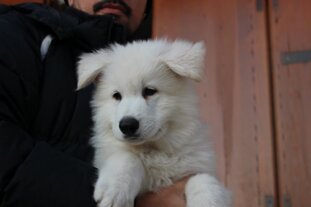 a7c3f291-9641-4f84-943b-ffc1879a6e58