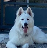 gundam.jpeg gundam.jpeg