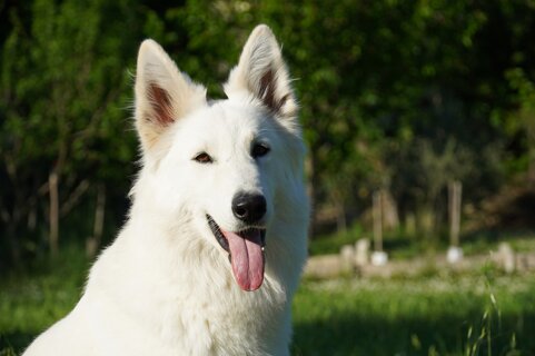 9b42779f-76ce-48c4-9c77-6e2ece05e74e