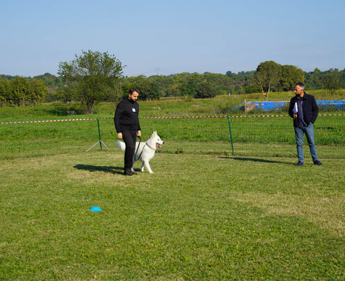 si riparte si riparte