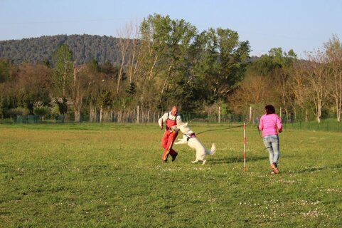 5e4e235c-3bc5-4416-9d65-f15f311e6021