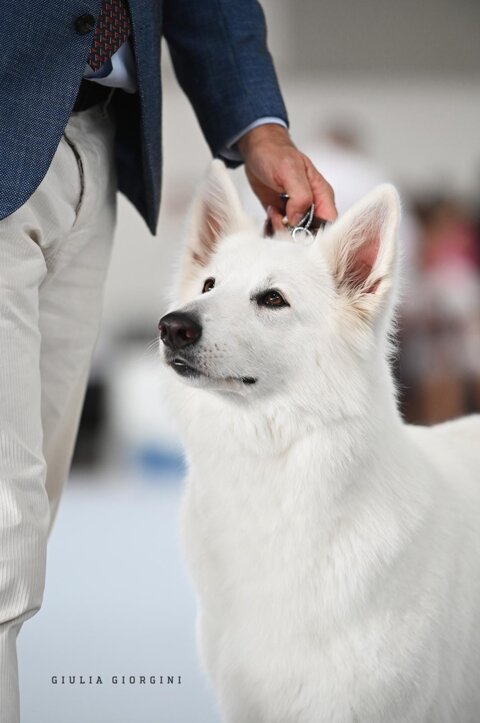 1ffdf5b4-5c39-490f-b727-475c56932769