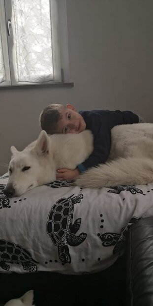 b035bd6f-6334-49ac-8f2b-1f4277b41693